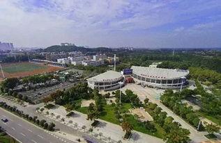 武汉东西湖最新爆料,揭秘区域发展新动向与亮点 第1张 武汉东西湖最新爆料,揭秘区域发展新动向与亮点 第1张